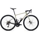 Avail Advanced 1 Shoreline 2024